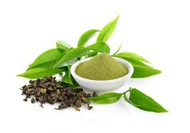 Green Tea Extract ingredient